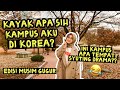 KAYAK APA SIH KAMPUS AKU DI KOREA? 🤔 CAMPUS TOUR KOREA ❤️  KGSP SCHOLARSHIP ㅣ BEASISWA KOREA