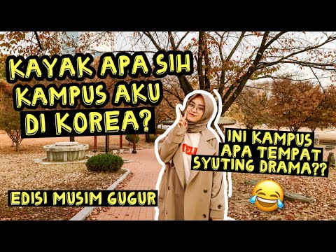 Video: Apa yang terjadi dengan kampus Orea?