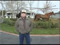 Bob Mitchell, Owner Bonnie Acres Ranch - On Hydro Horse