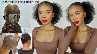 KINKY PONYTAIL ON SHORT 4C HAIR | 3 MONTHS POST BIG CHOP | NO HEAT| SLEEK PONYTAIL ON SHORT 4C HAIR