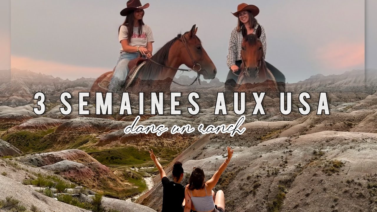 3 semaines aux USA, entre Roadtrip et Woofing 🇺🇸 