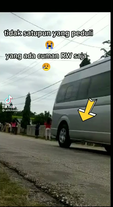 tik tok (anjing di tabrak)