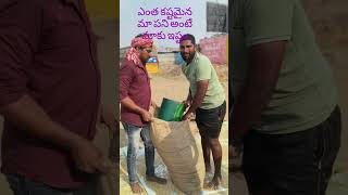 ఎర్రటి ఎండలో కులీల‌ చెమటలు 🥺 #agriculture #tsfarmers #kisanaandoln #shortsfeed #agriculturefarming