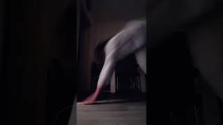 This trend but I don't have leotard #motivation #viral #hiphopmusic #funny #musicstyle #trending Net Worth