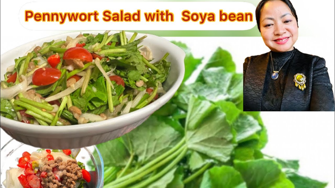 *195*Pennywort Salad, မြင်းခွာရွက်သုပ်ကို ပဲပုတ်အစီးလေးနဲ့သုပ်သည