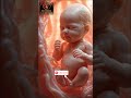 The Womb Journey∆∆∆ Inside mother child mother parmgnet