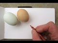 Chicken and Egg: Sketching from Life