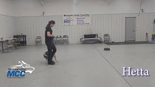 MCC Dog Obedience Bootcamp Update Video - (04/20/2026)