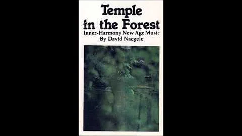 David Naegele - Temple in the Forest (Side A)