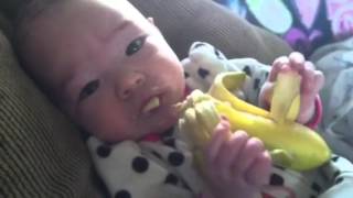 Remy Eating Banana