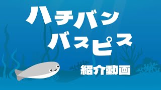 ハチバンバスピス　プロモーション映像