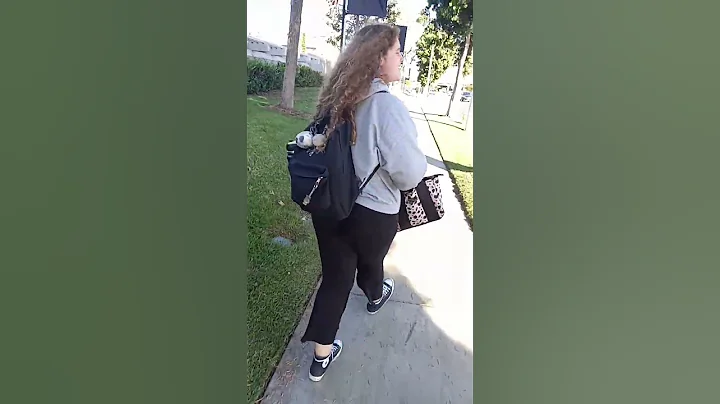 I got attacked  by a karen