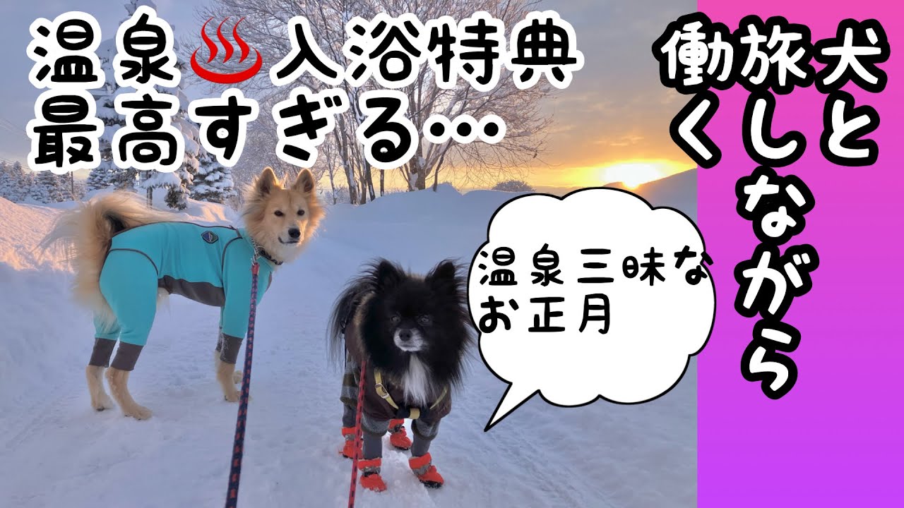 【犬と旅しながら働く】新冠を後にし…登別・北湯沢で働き♨️温泉三昧なお正月