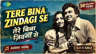 Tere Bina Zindagi Se Koi Shikwa To Nahi ❤️ | Kishore Kumar & Lata Mangeshkar | Old Is Gold  #viral 