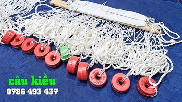 Câu kiều, câu giăng cá đuối và họ cá da trơn nói chung, không cần dùng mồi