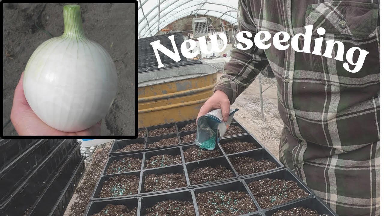 Посев чего-то, что мы НЕ будем выращивать