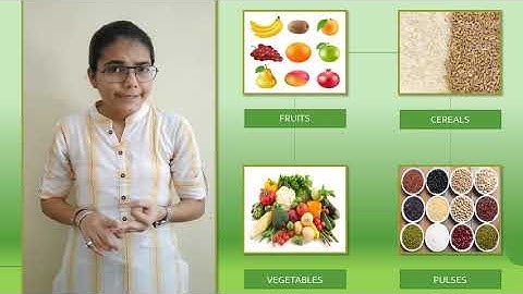 Class 1 | Environmental Studies | Chapter - 4 : Food We Eat | Part - 2