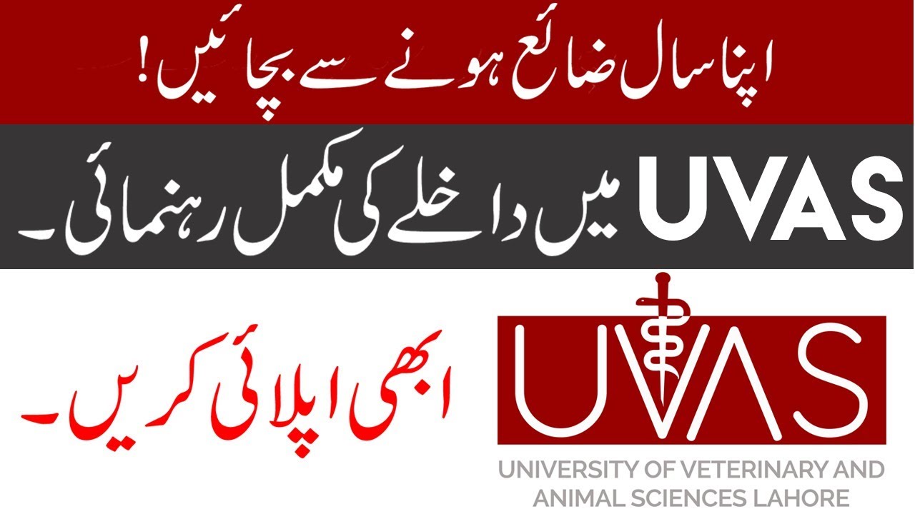 How to Apply in UVAS 2019 🎓 - Complete Guide