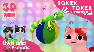 Tokek Tokek, Kucingku Tiga Gemuk, dan Lagu Lainnya - 30 Menit Lagu Anak Indonesia