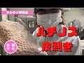 ハチノス　皮剥きやっちゃいます！