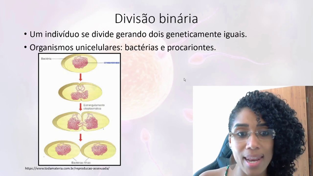 O Que é Uma Pessoa Assexuado E Sexuado