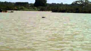 hippo Bahar Dire.3GP