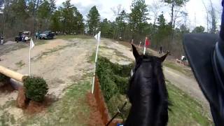 2017 Carolina Helmet Cam - Elisa Wallace & Simply Priceless 2017 Carolina Helmet Cam - Elisa Wallace & Simply Priceless