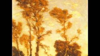 Video thumbnail of "Drudkh - Glare of Autumn"