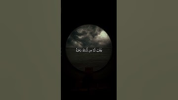 #القارئ عبدالرحمن مسعد