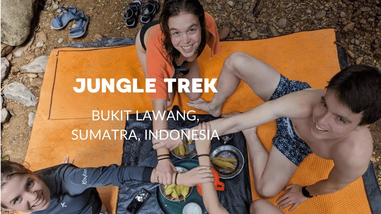 Jungle trek in Bukit Lawang, Sumatra, Indonesia