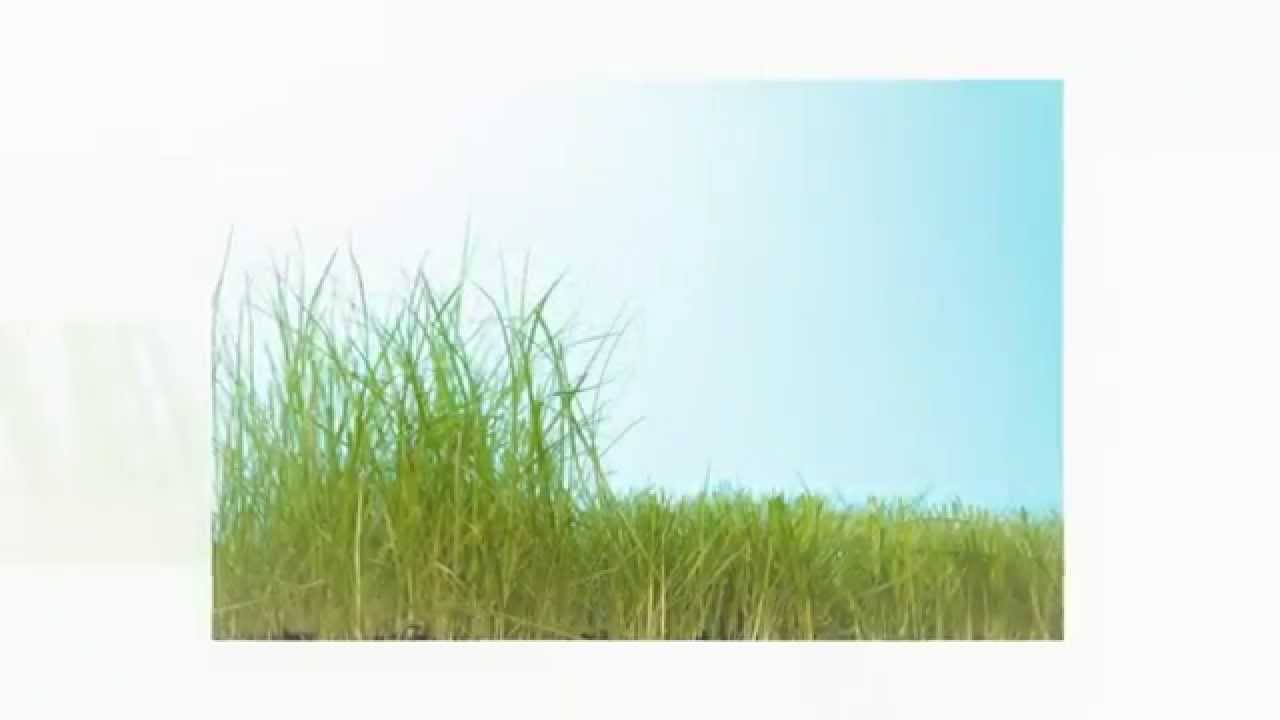 how-high-should-i-cut-my-grass-in-winnipeg-youtube