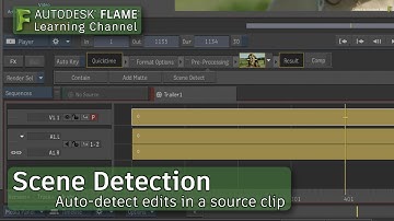 Scene Detection - Flame 2018