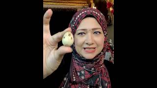 اول مرة نجرب بيض السمان ارخص بيض في مصر