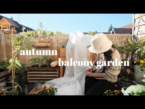 Vidéo: Balcony Gardening In Winter - Entretien d'hiver des balcons pour les plantes