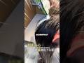 I Accidentally Put SALT in My Hair… and the Results Left Me Speechless! #shorts