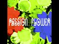 T-Square - Passion Flower (2005) - 8. Cloudburst