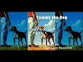 Intro to 'Tommy The Dog' Part 1