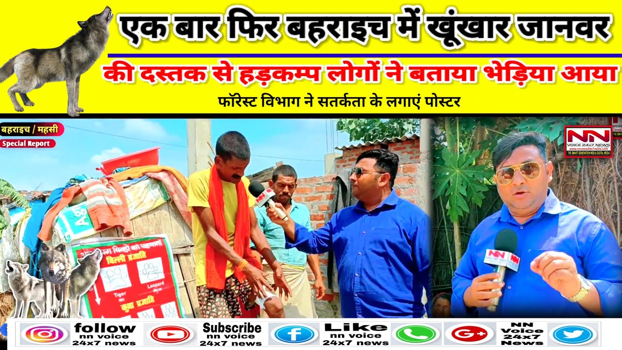 Wolf attack bahraich | एक बार फिर बहराइच में खूंखार जानवर की दस्तक से हड़कंप | 