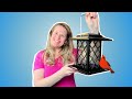 iStylish & Sturdy! Metal Lantern Bird Feeder for Wild Birds Reviewed