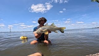 Fishing backwater canals and mangroves for snook (HE FELL IN)