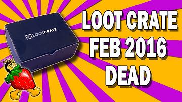 Loot Crate February 2016 Dead & Level Up Her Accessories | BoomBerry Plays