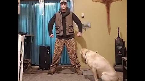 guy vibing to markiplier full outro song