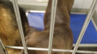 acs A665882