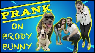 *PRANK* on Dogs 🐶 BRODY BUNNY 🐰 | Funny Family Vlog | Harpreet SDC