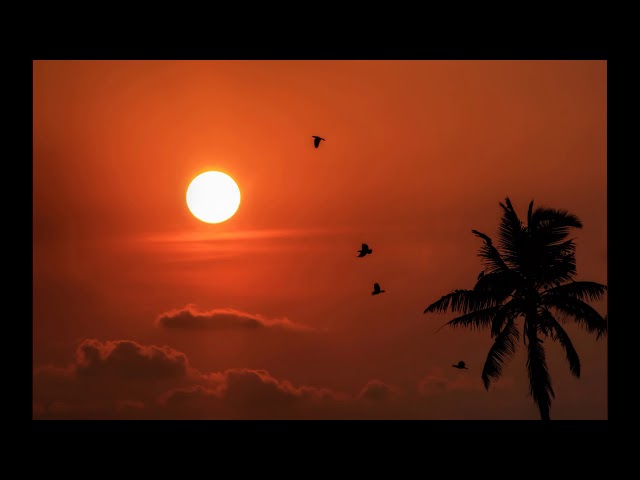 Kasia Lesing - Trzeba ¿yæ