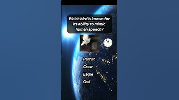 Can You Answer These Questions Correctly | Pt 8