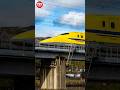 岐阜県関ケ原町にある十九女池公園でドクターイエローの写真を撮影しました　#ドクターイエロー #東海道新幹線 #shorts