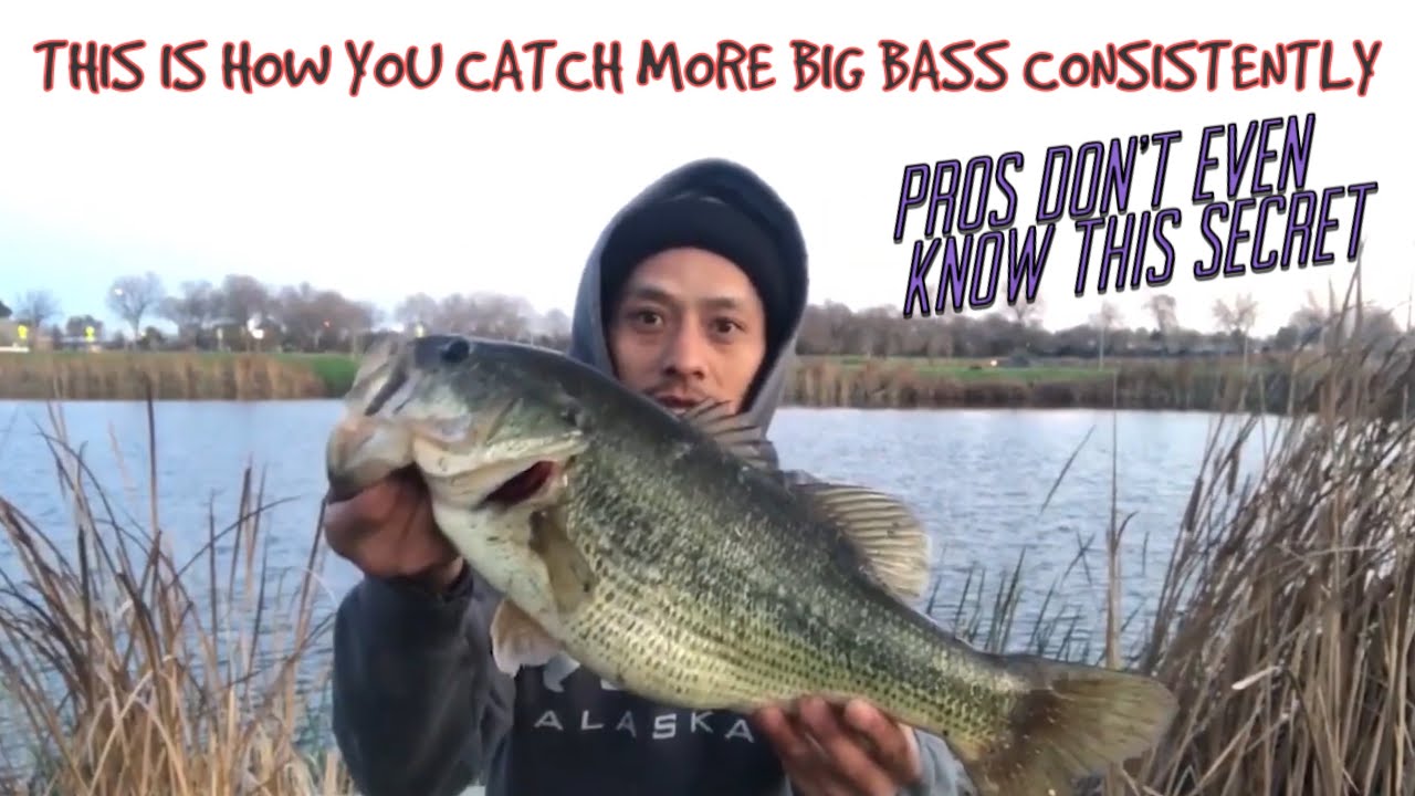 (Consistently) catch more big bass myths and facts from 2 anglers POV…(1 record breaking catch)