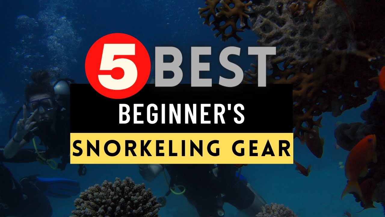 Best Snorkeling Gear 2022 🔶 Top 5 Best Beginners Snorkeling Gear YouTube