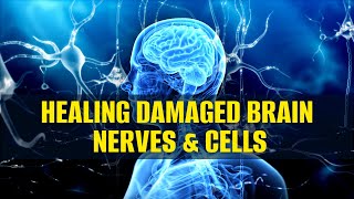 Healing Damaged Brain Nerves \& Cells | Miracle Nerve Regeneration | Theta Binaural Beats: Calm Brain